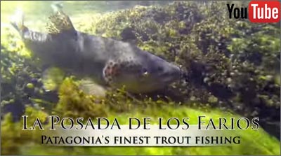 fly fishing in Chile: La Posada De Los Farios